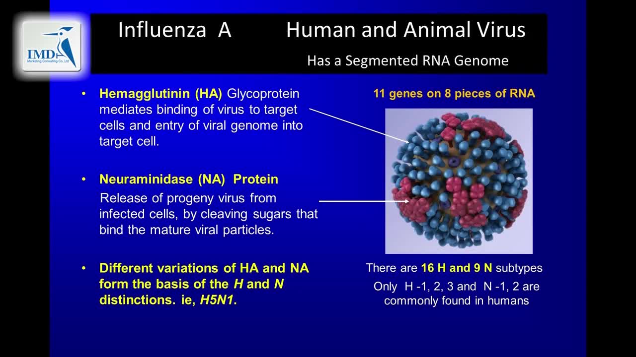 新兴传染病（7）
