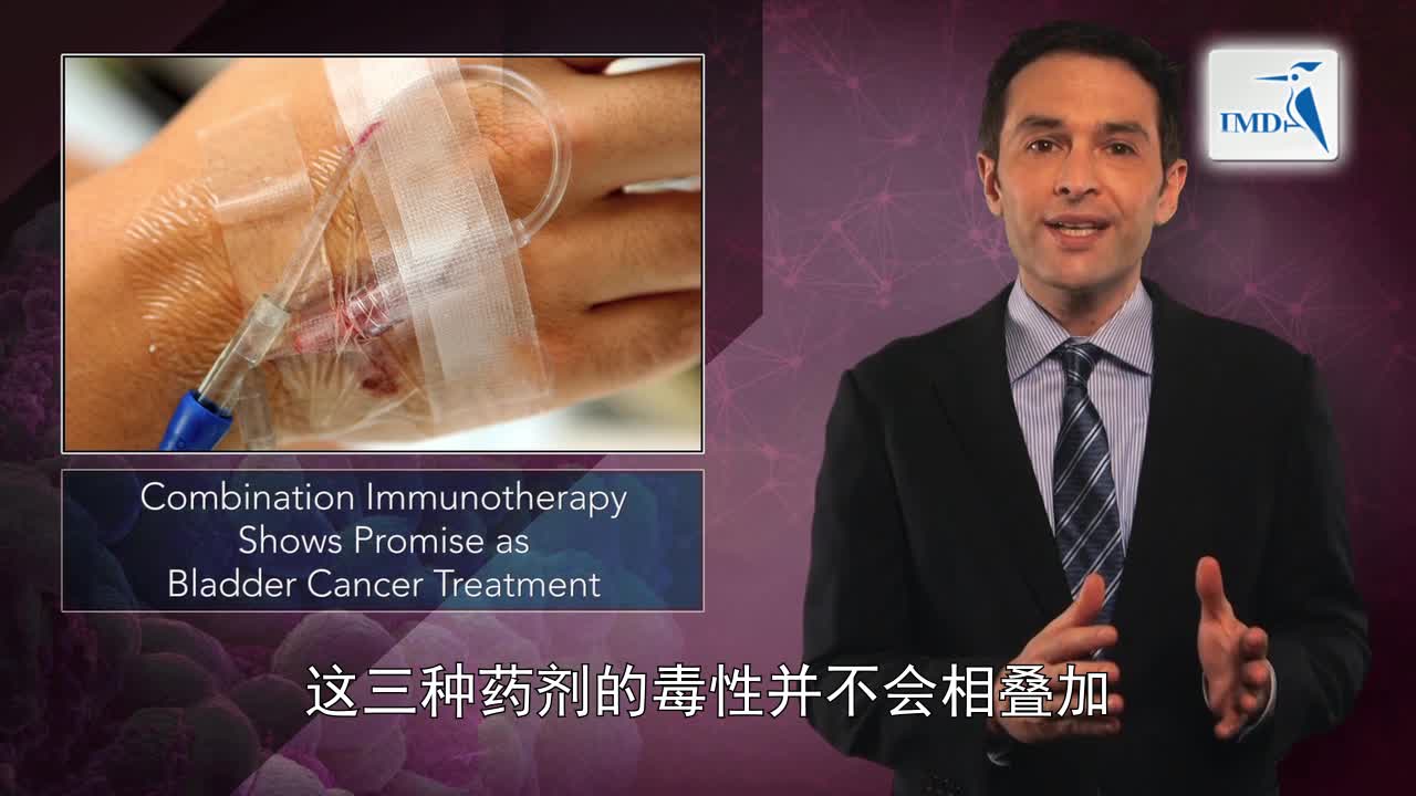 治疗膀胱癌也许可采用联合免疫疗法