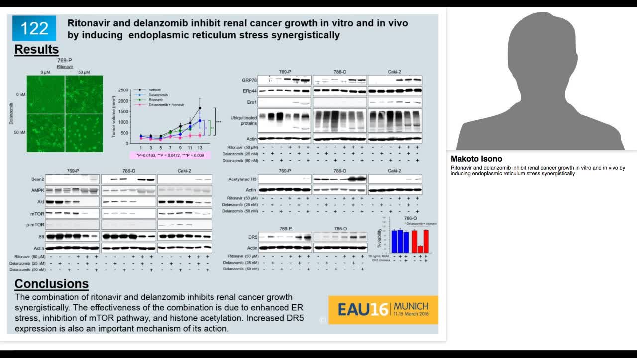 Ritonavir and delanzomib inhibit renal cancer growth in v-