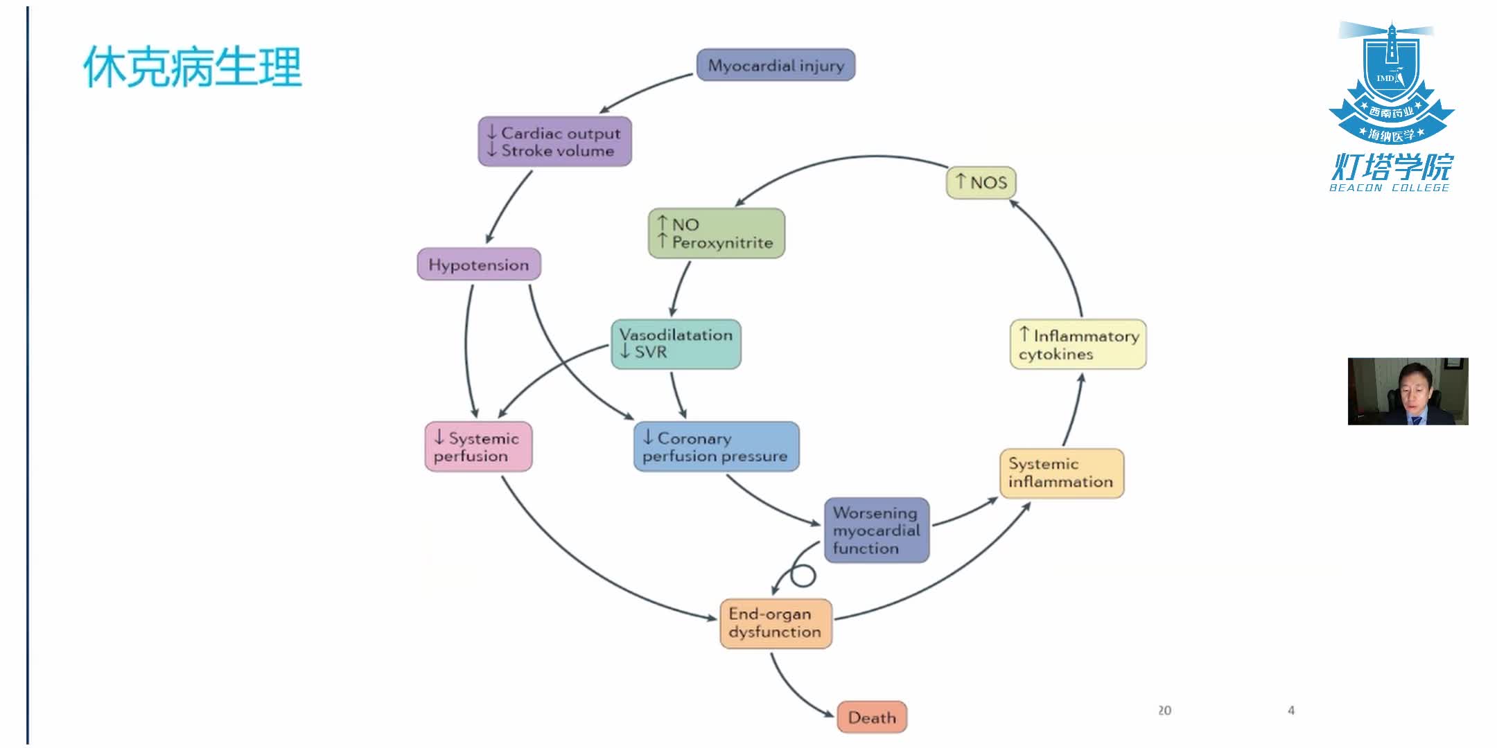 心源性休克的原因、诊断与治疗
