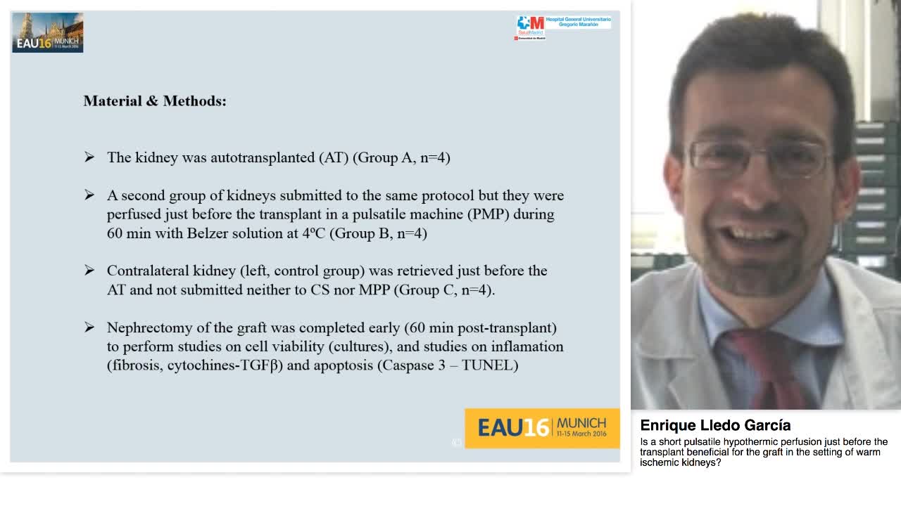 Is a short pulsatile hypothermic perfusion just before th-
