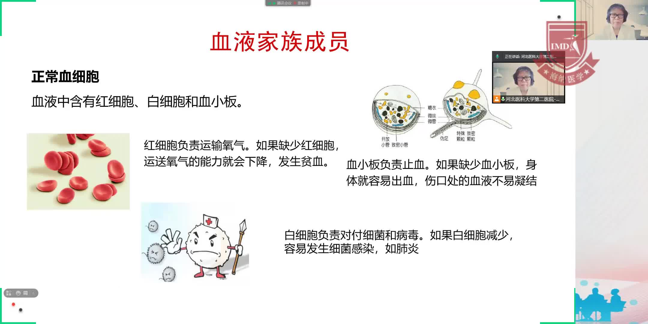 张雪乔-关注血小板减少