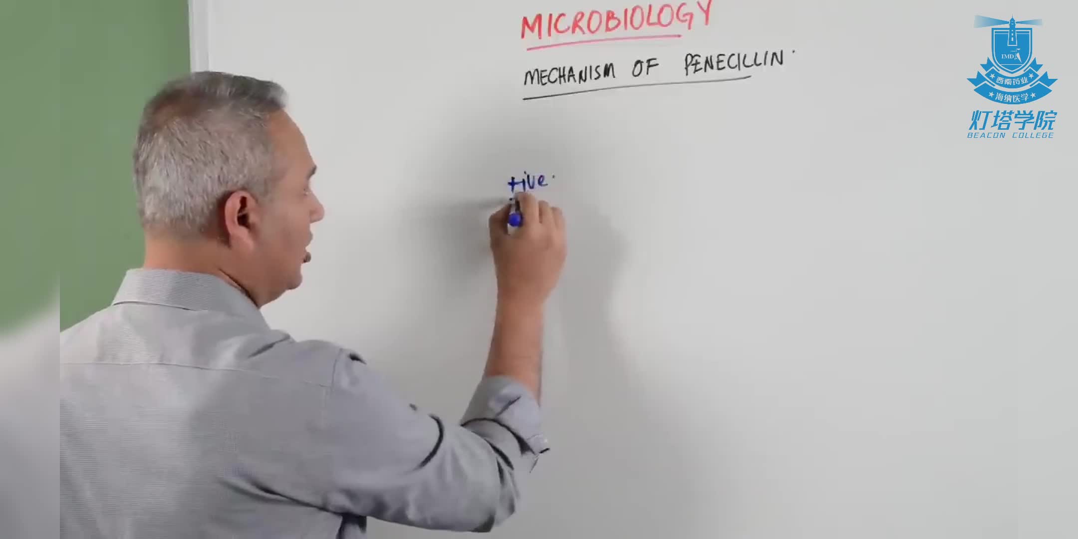 青霉素与万古霉素作用机制及疗效差异研究