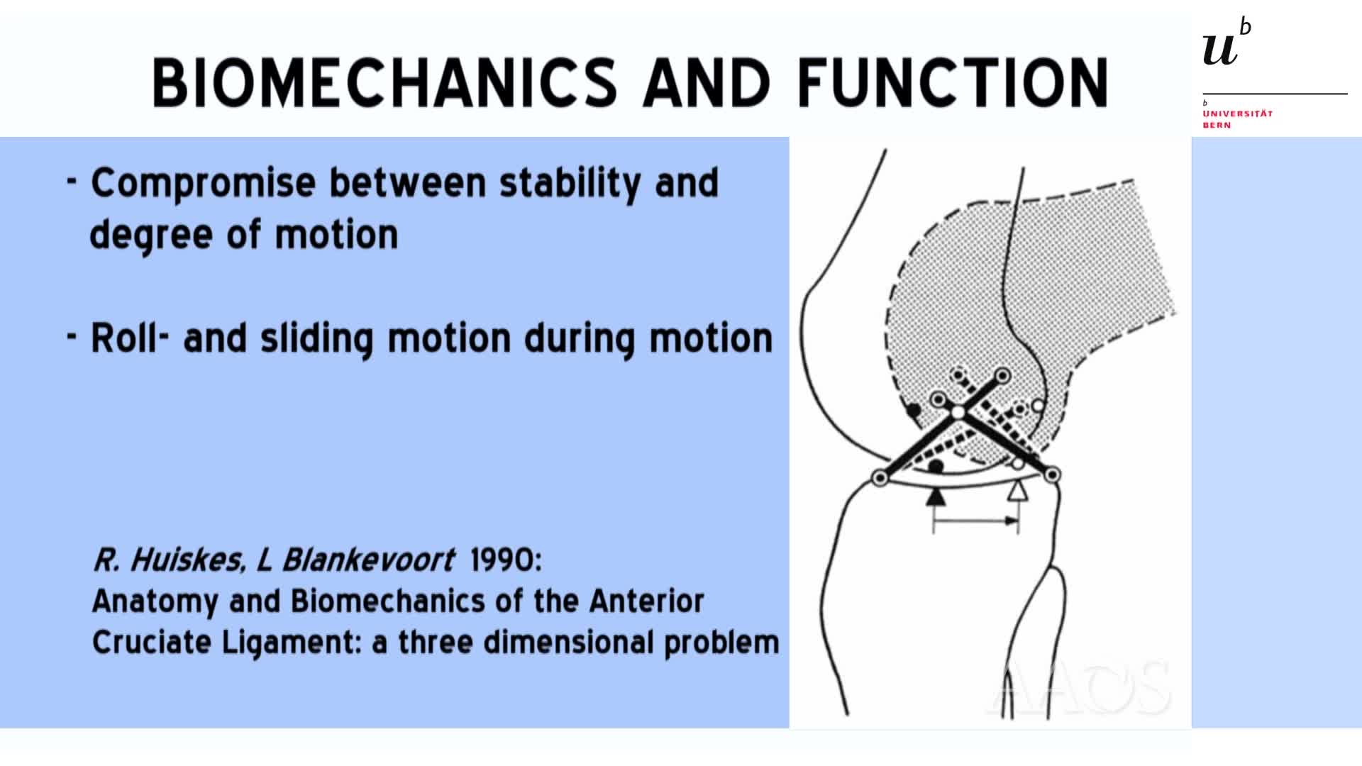 Dynamic Intraligamentary StabilizationA Doorway To lntrinsic Healing of the ACL
