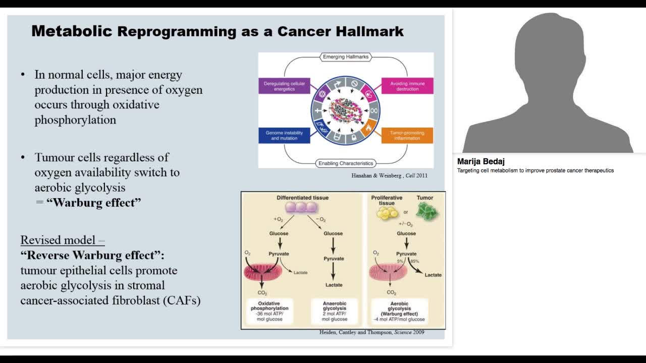 Targeting cell metabolism to improve prostate cancer ther-