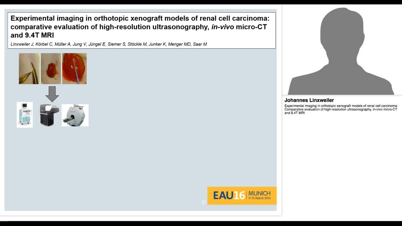 Experimental imaging in orthotopic xenograft models of re-