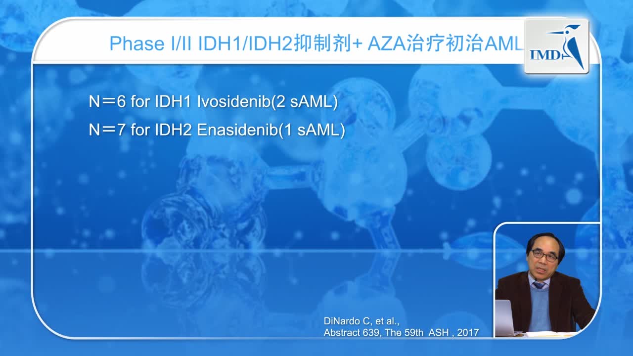 AML进展报告（3）