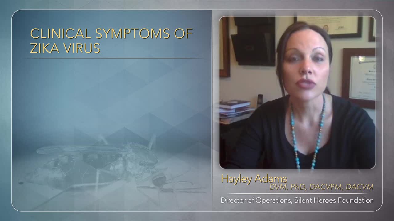 探索寨卡病毒的危险因素和症状