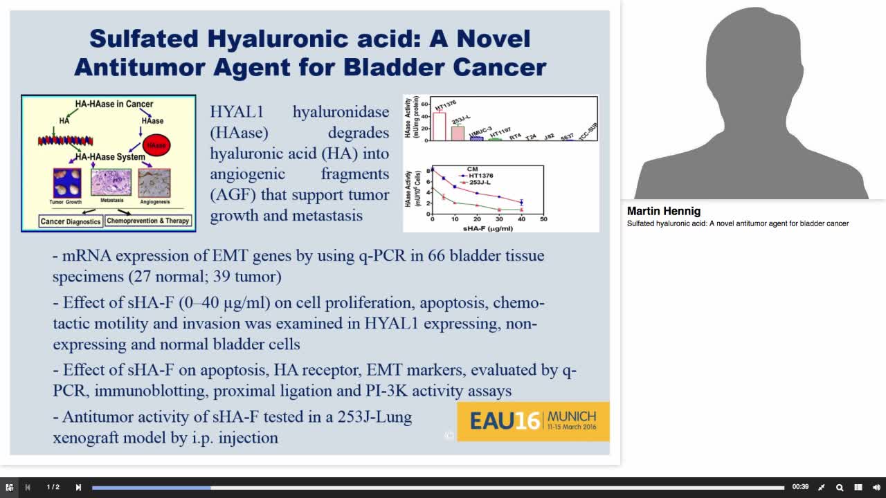 Sulfated hyaluronic acid, A novel antitumor agent for bla-