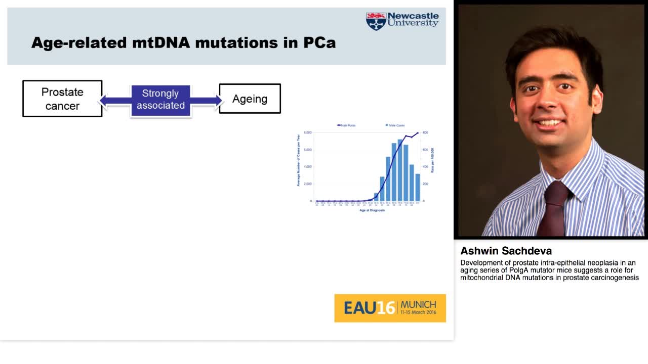 Development of prostate intra-epithelial neoplasia in an -