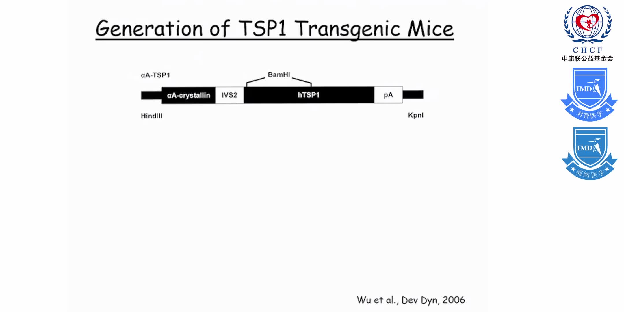 增生型糖尿病视网膜病变 1-8