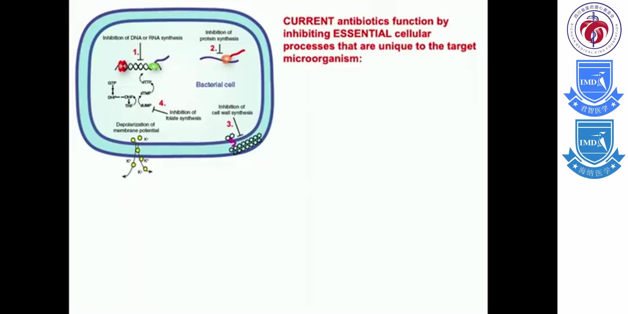 Infectious Disease, Viruses, and Bacteria 10