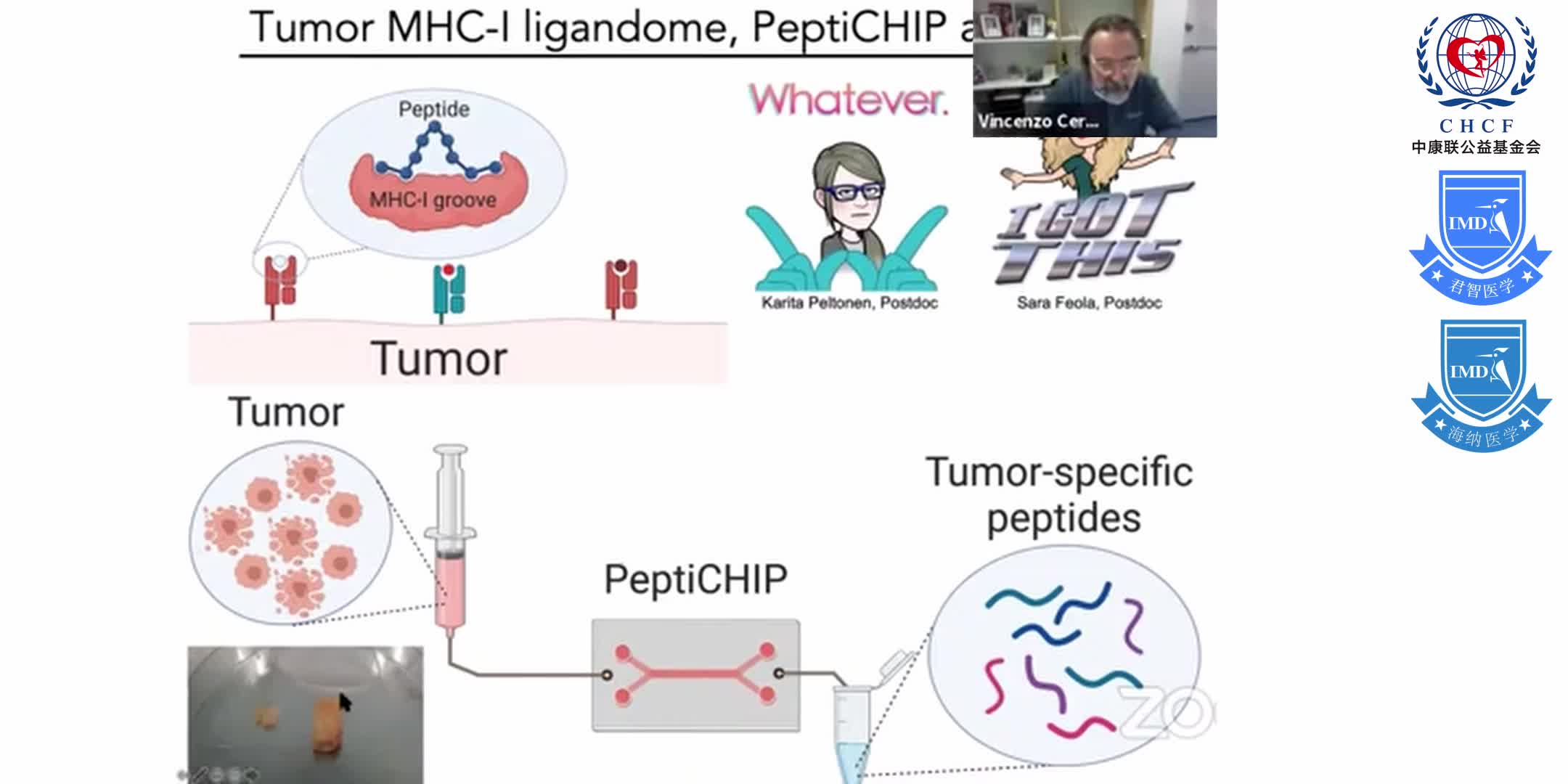 ESGCT e-School_ Directing the immune response to specific tumor antigens using modified oncolytic vi 1-10