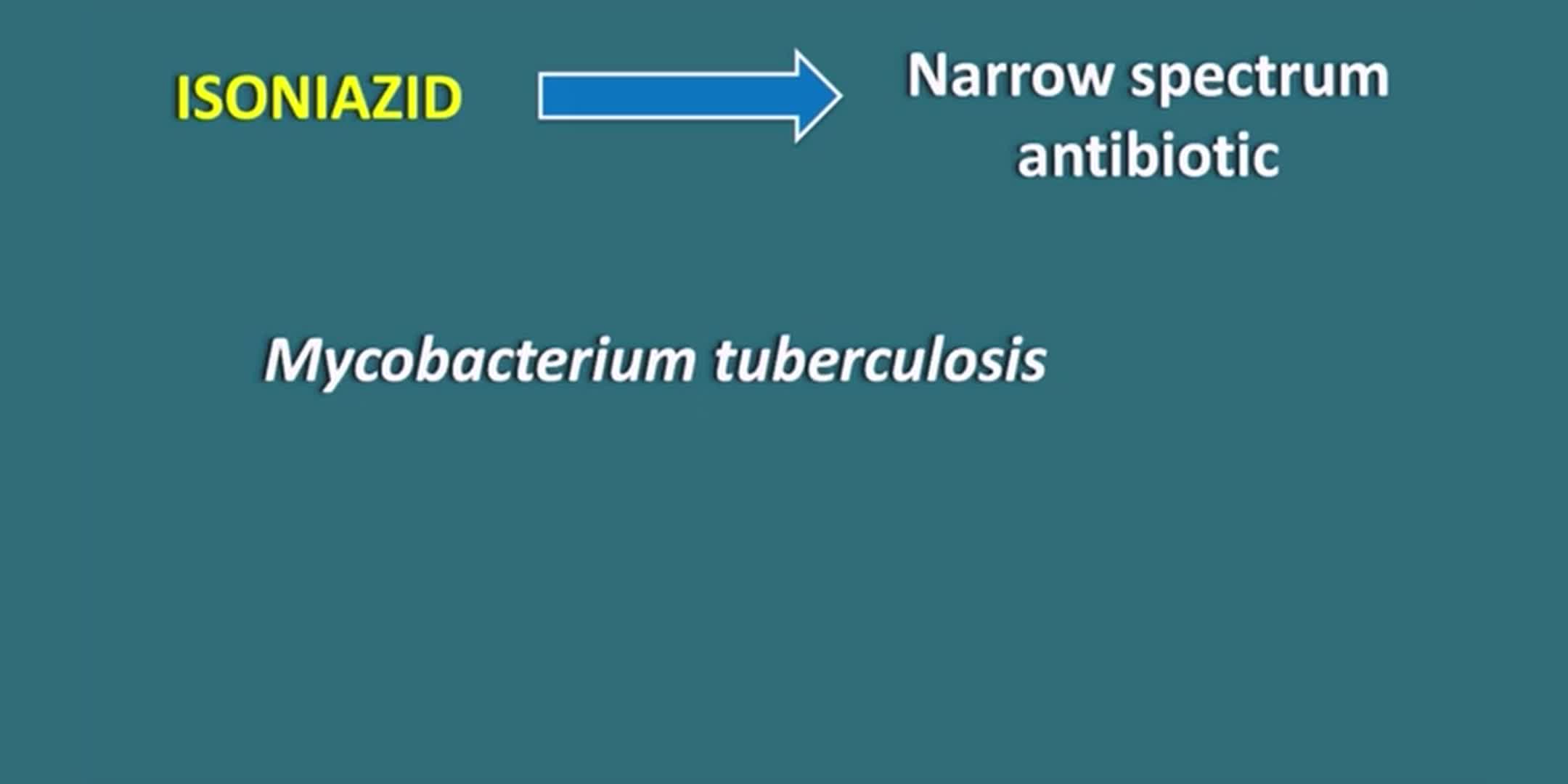异烟肼&mdash;&mdash;一种治疗结核病的窄谱抗生素