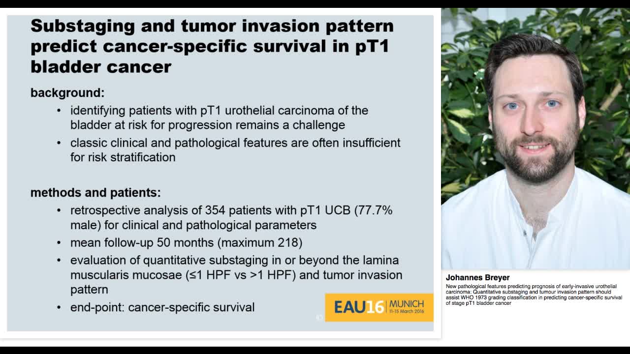 New pathological features predicting prognosis of early-i-