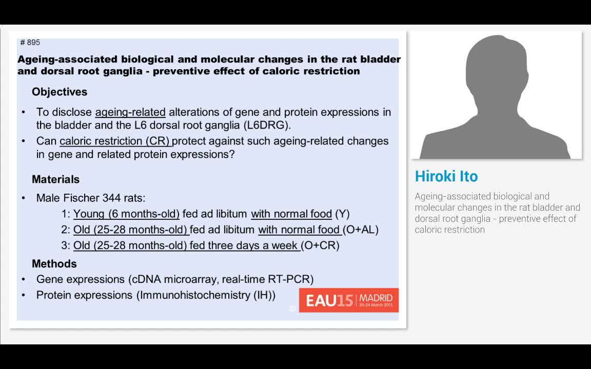 Ageing-associated biological and molecular changes in the..-