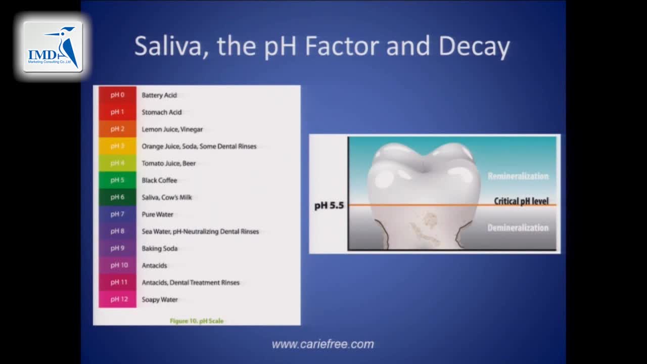 05_癌症治疗后如何管理牙齿健康
