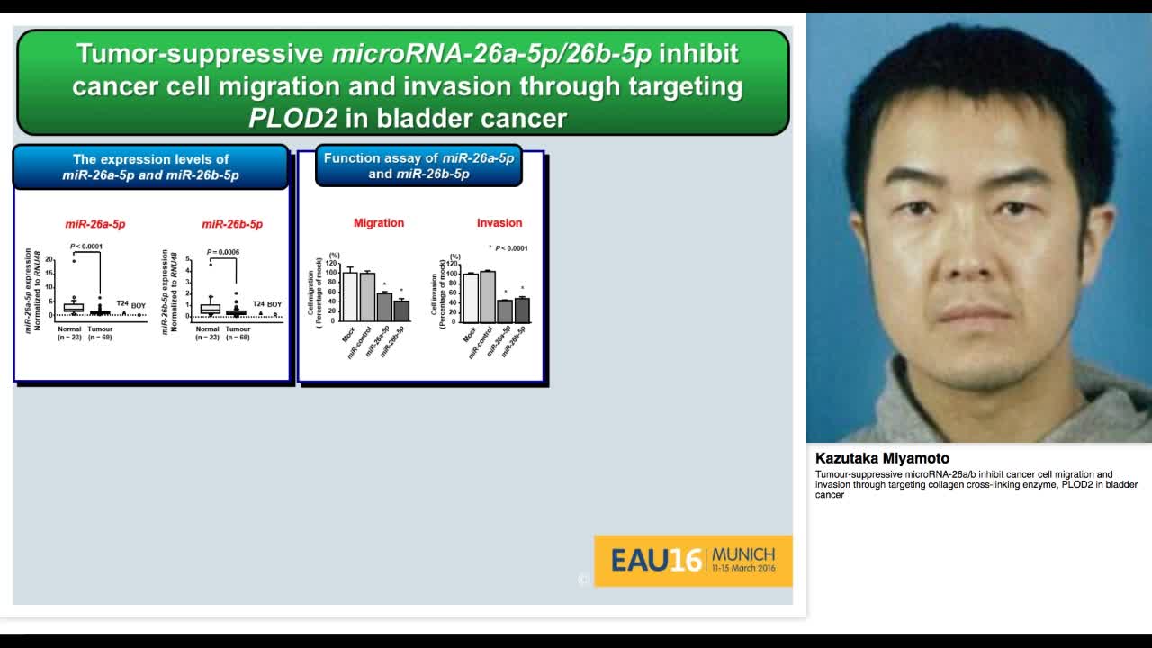 Tumour-suppressive microRNA-26a-b inhibit cancer cell mig-