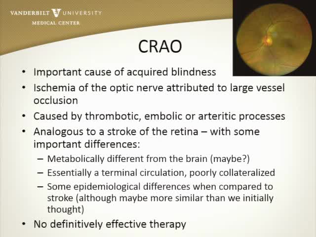 Central Retinal Artery Occlusion (CRAO) Nationwide Variability in Approach to Management (2)