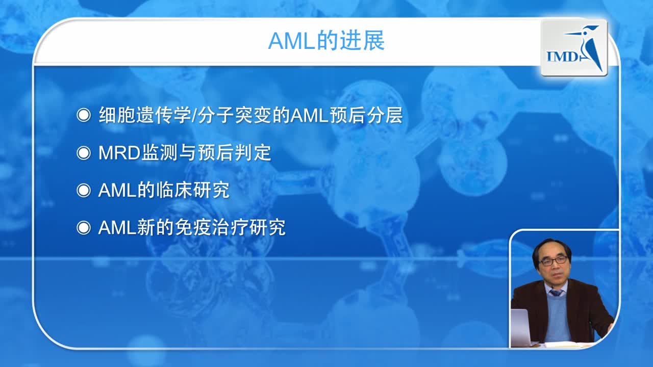 AML进展报告（4）