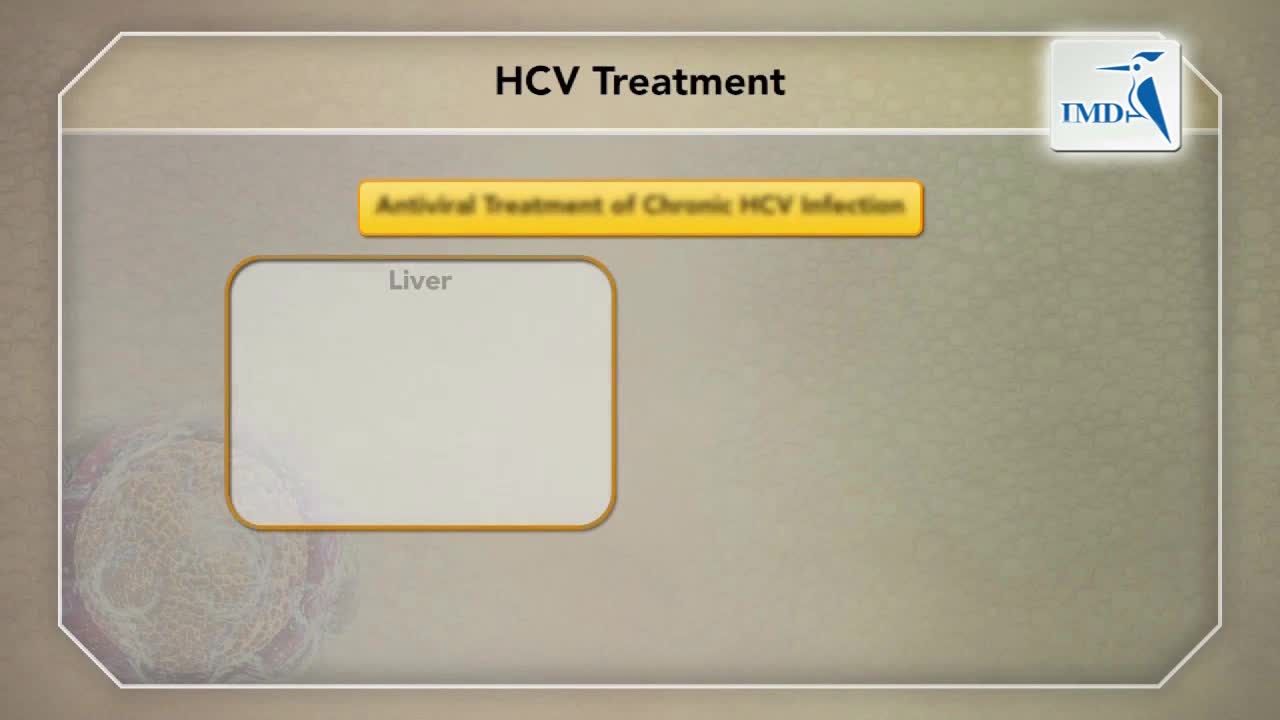 丙肝病毒早期检测与干预的重要性（2）