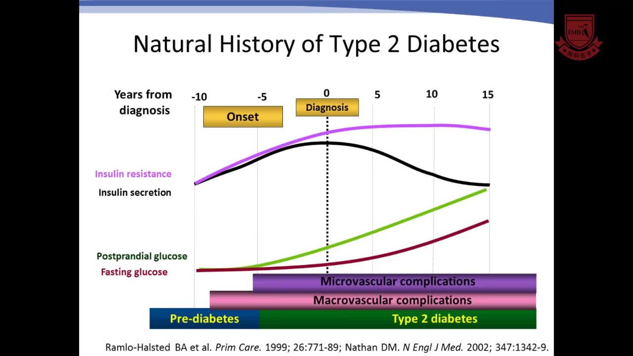 2型糖尿病的个性化胰岛素治疗3