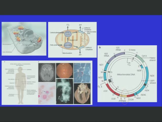 The Core Clinical Features of MT-ATP6 Related Mitochondrial Disease