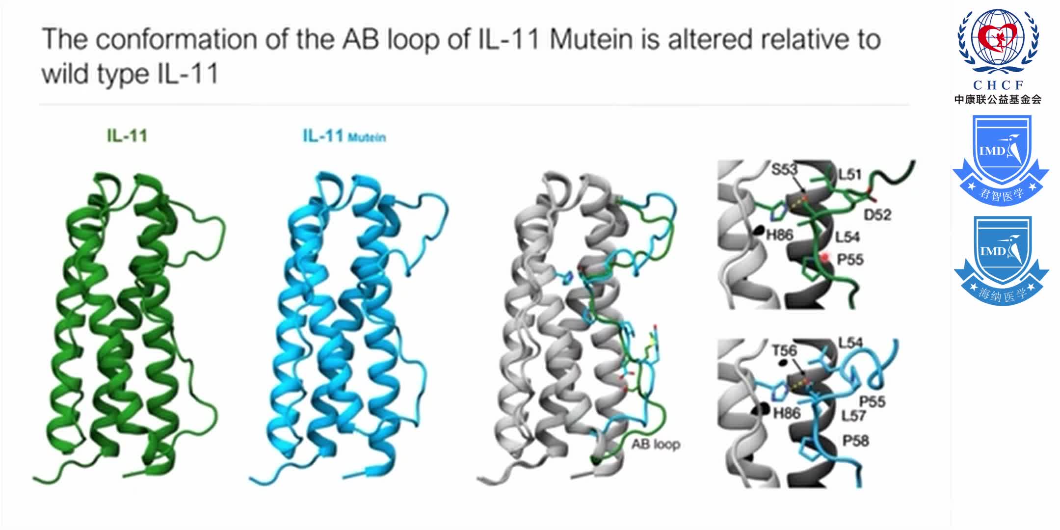 Structures of the interleukin 11 signalling complex 1-11