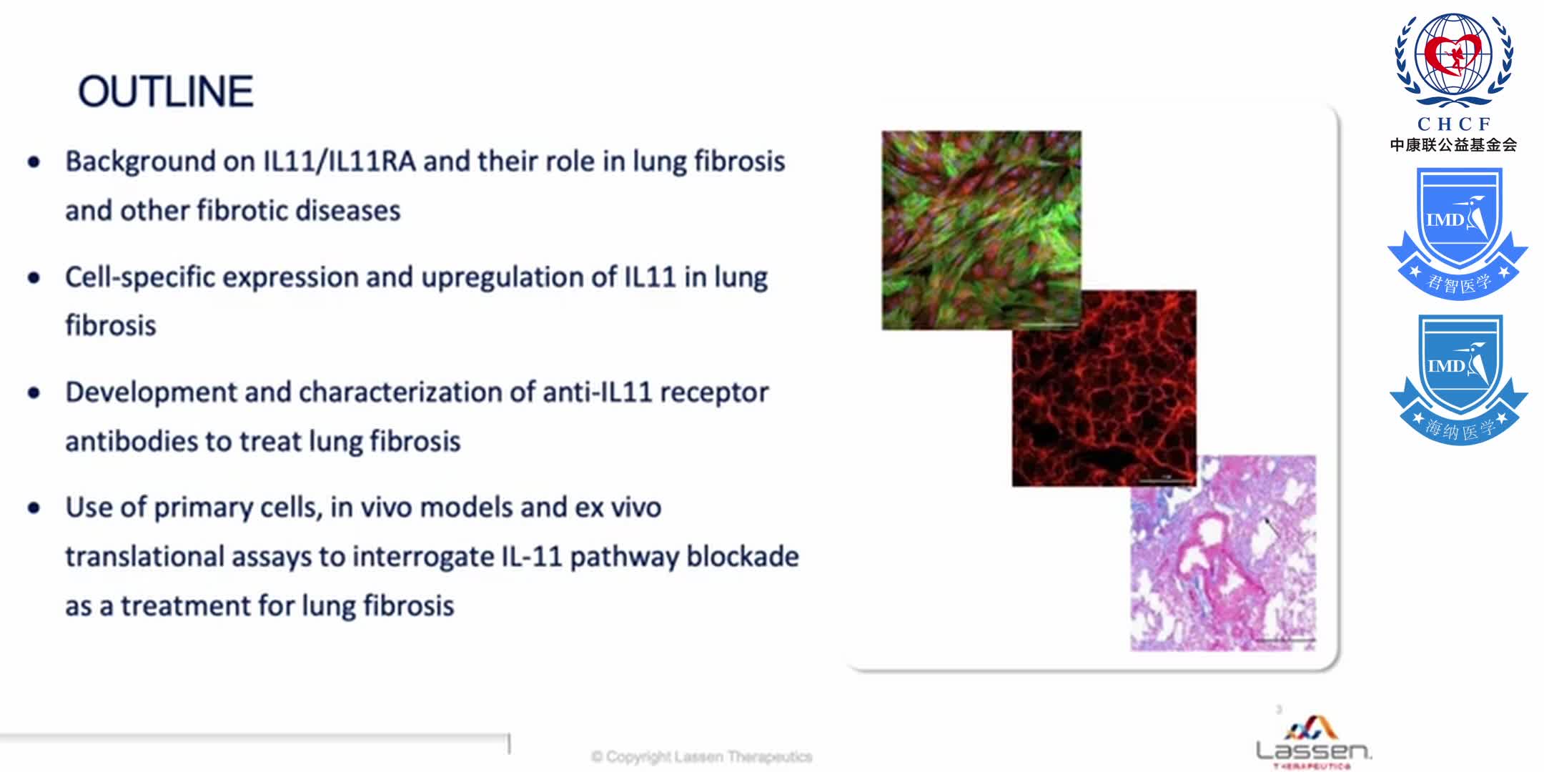 Antibody Mediated Blockade of Interleukin-11 Signaling for IPF & Other Fibrotic Diseases 1-1