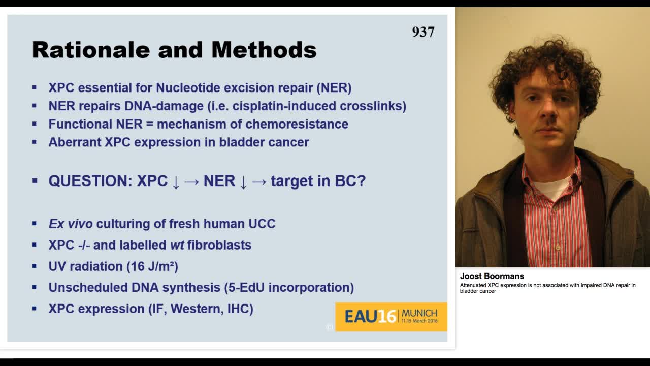 Attenuated XPC expression is not associated with impaired-