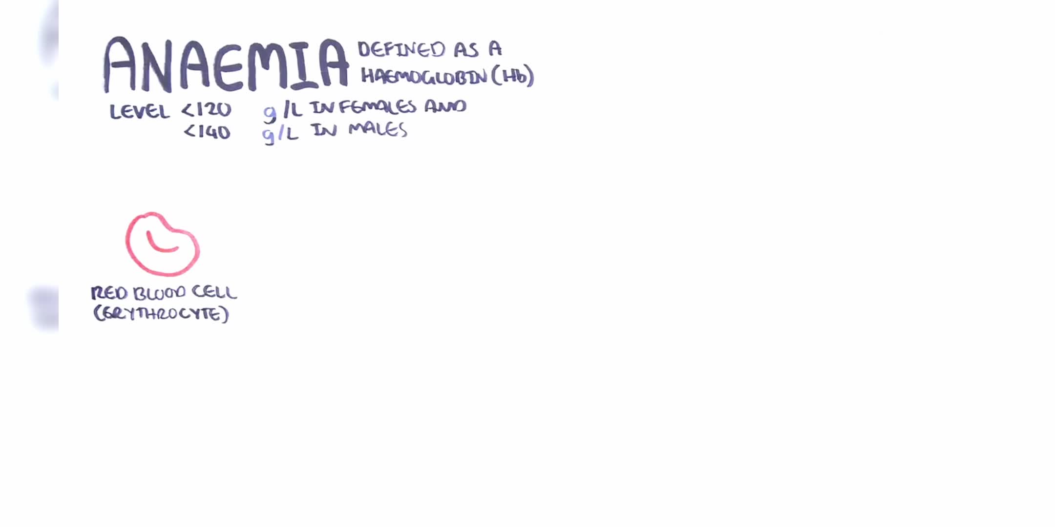 贫血全面解析：原因、分类与症状