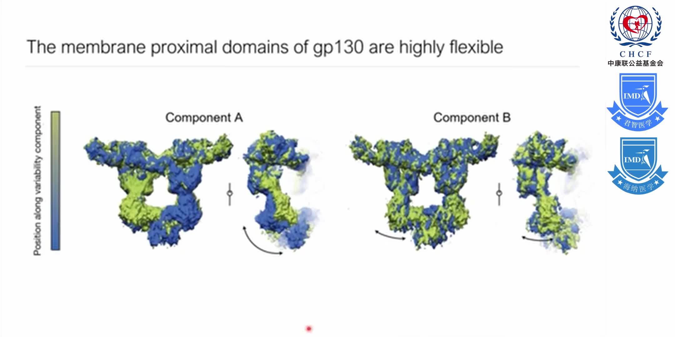 Structures of the interleukin 11 signalling complex 1-8