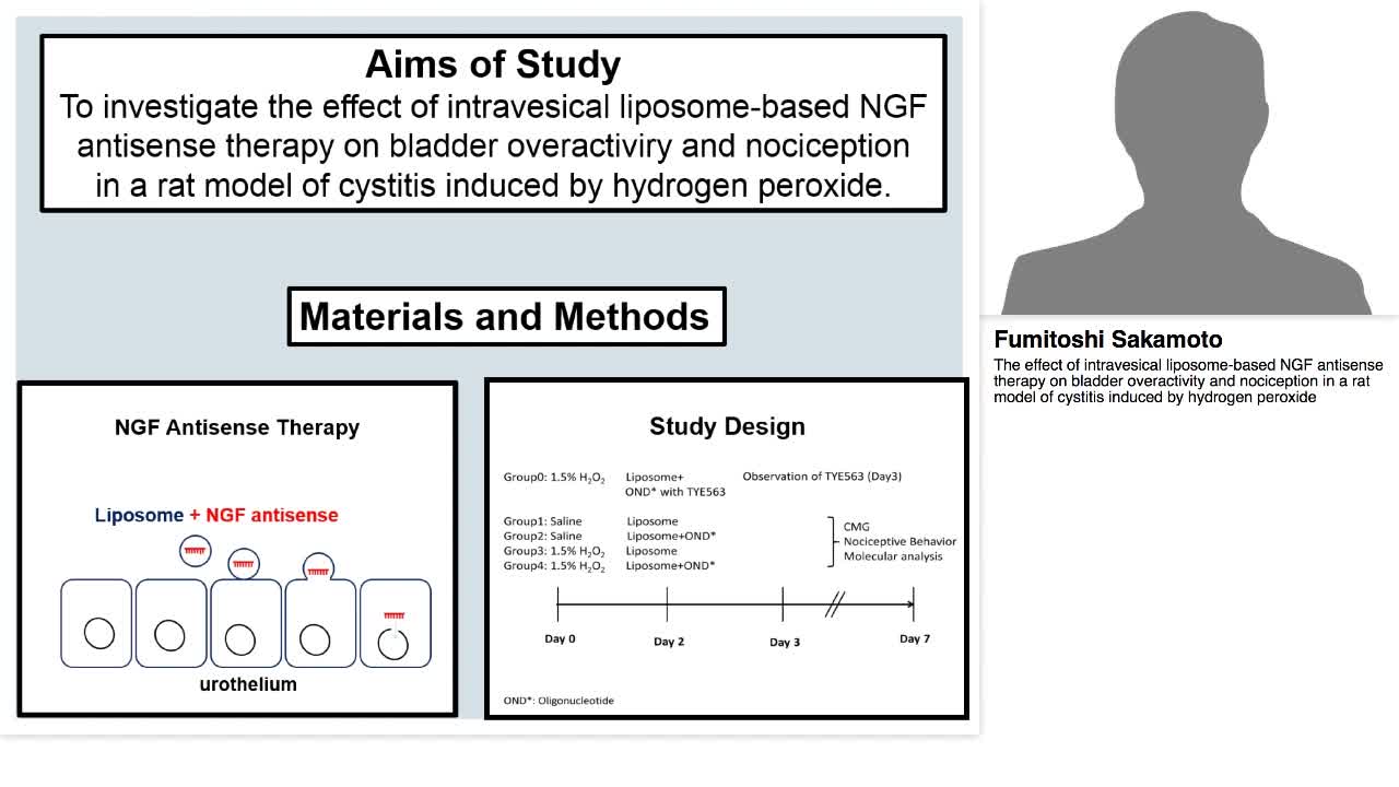 The effect of intravesical liposome-based NGF antisense t-