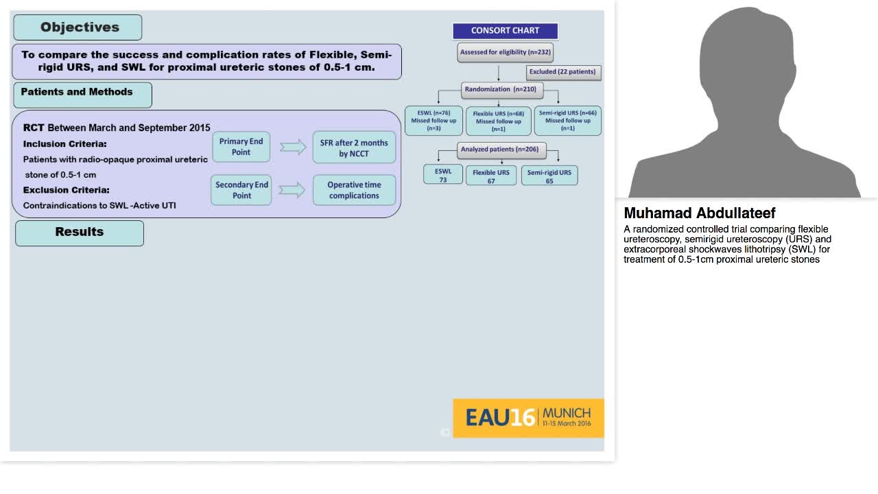 A randomized controlled trial comparing flexible ureteros-