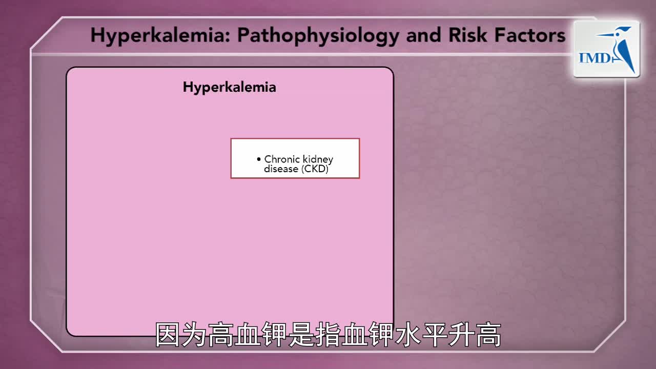 高危人群的高钾血症风险因素与高血钾形成（1） (2)