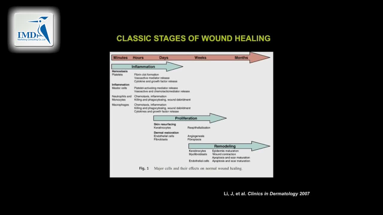 科学和皮肤病学（4）