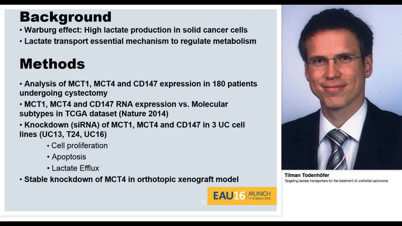 Targeting lactate transporters for the treatment of uroth-