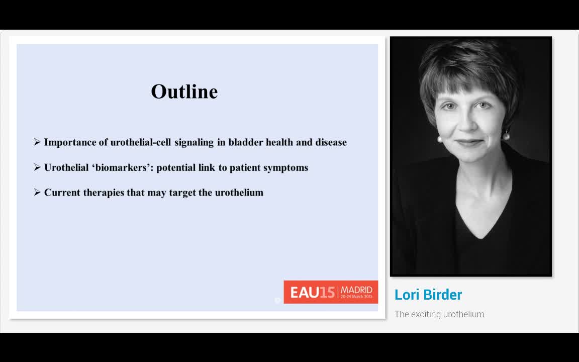 The exciting urothelium