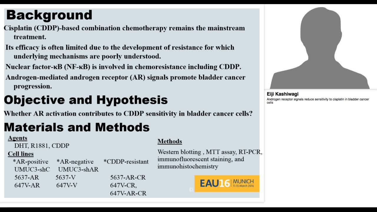 Androgen receptor signals reduce sensitivity to cisplatin-