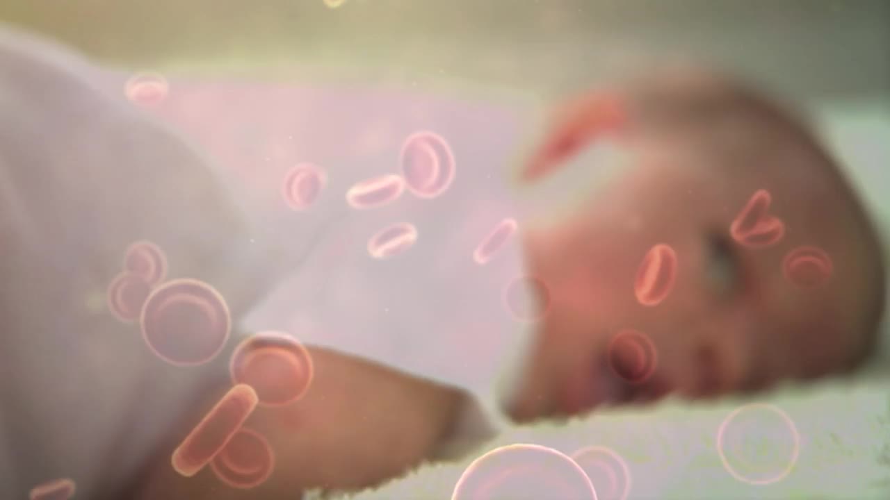 预防婴儿维生素 K 缺乏症出血