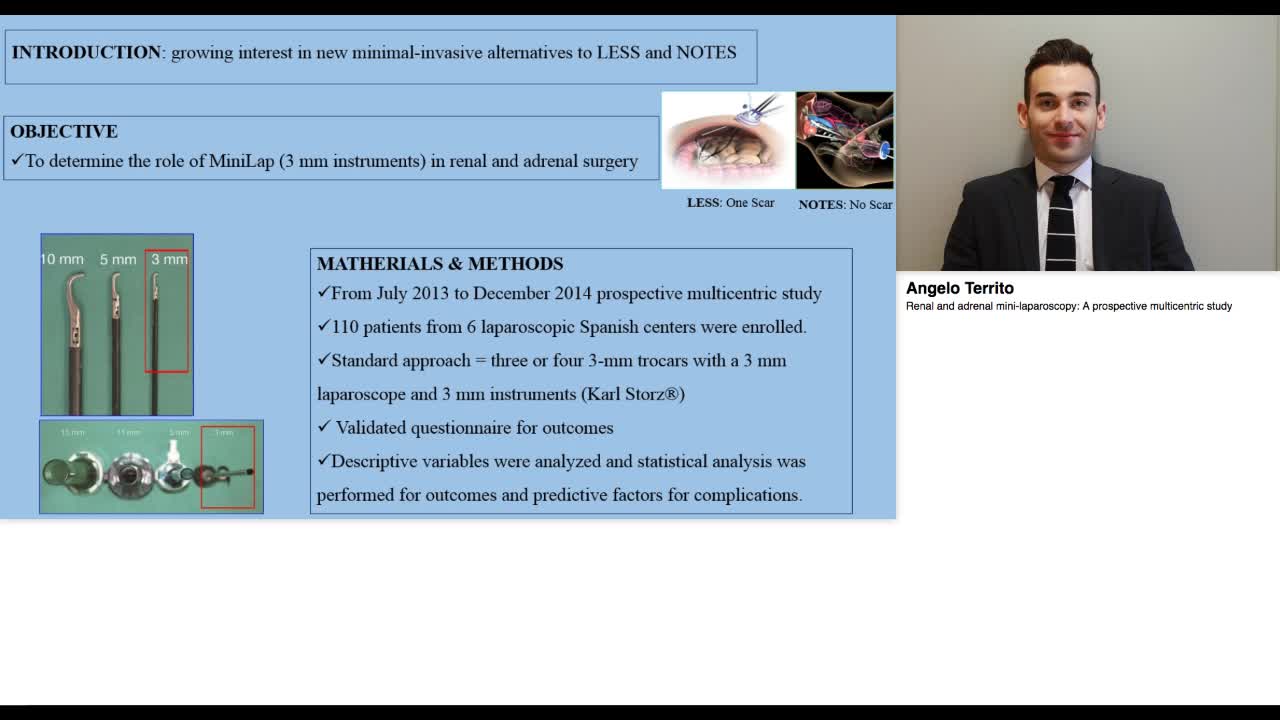 Renal and adrenal mini-laparoscopy, A prospective multice-