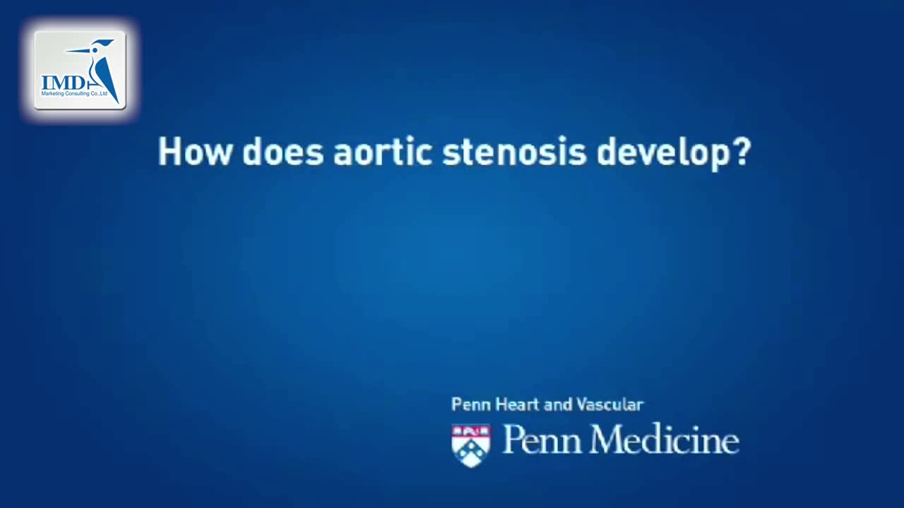 讨论TAVR的治疗方法