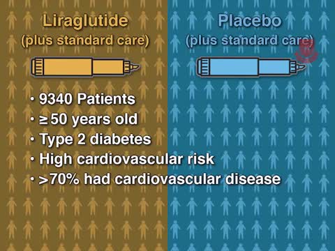 利拉鲁肽与心血管预后