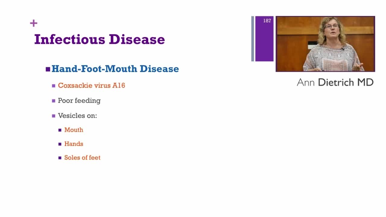 传染病课程（2）