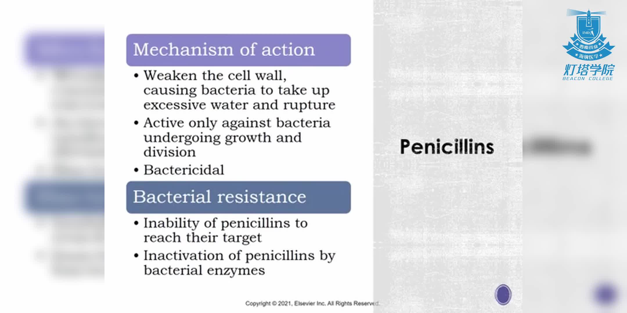 青霉素的作用机制及药物分类的深入探讨