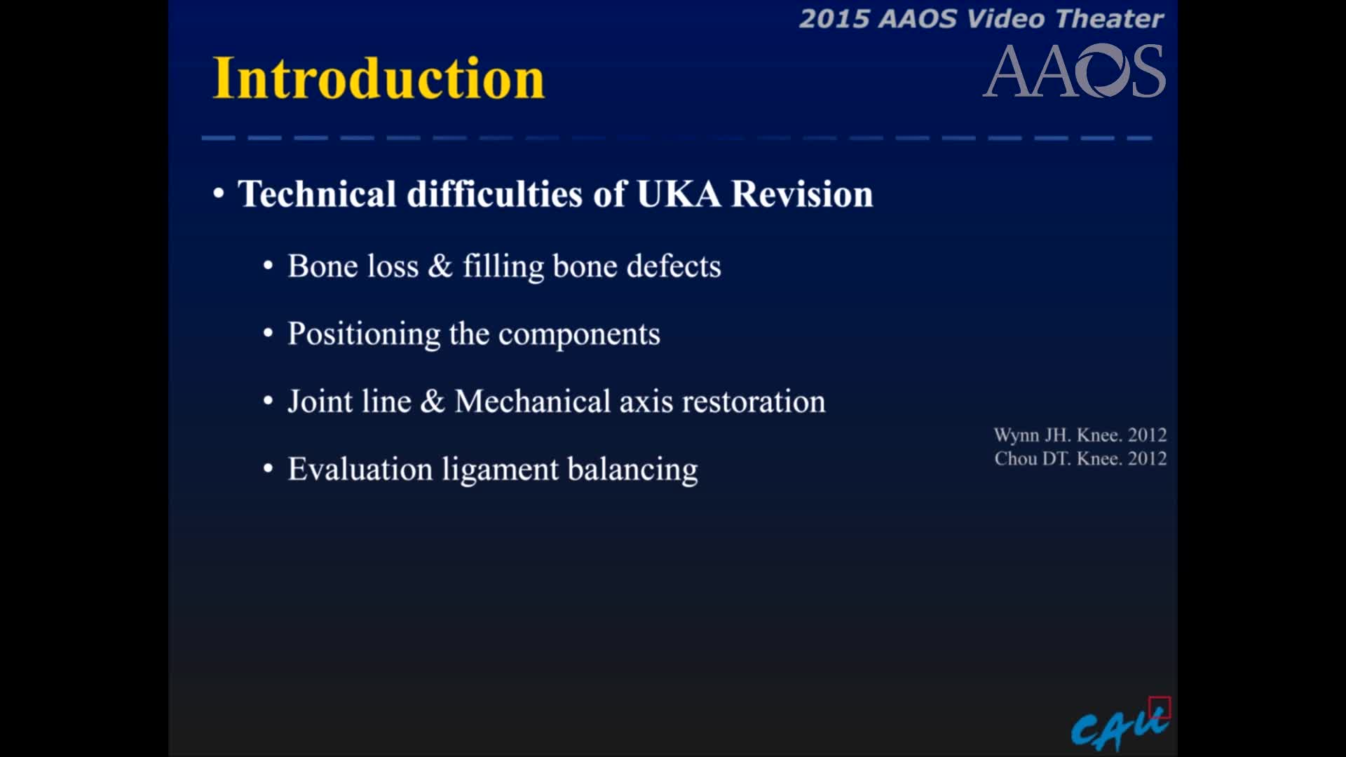 UKA Revision underNavigation System