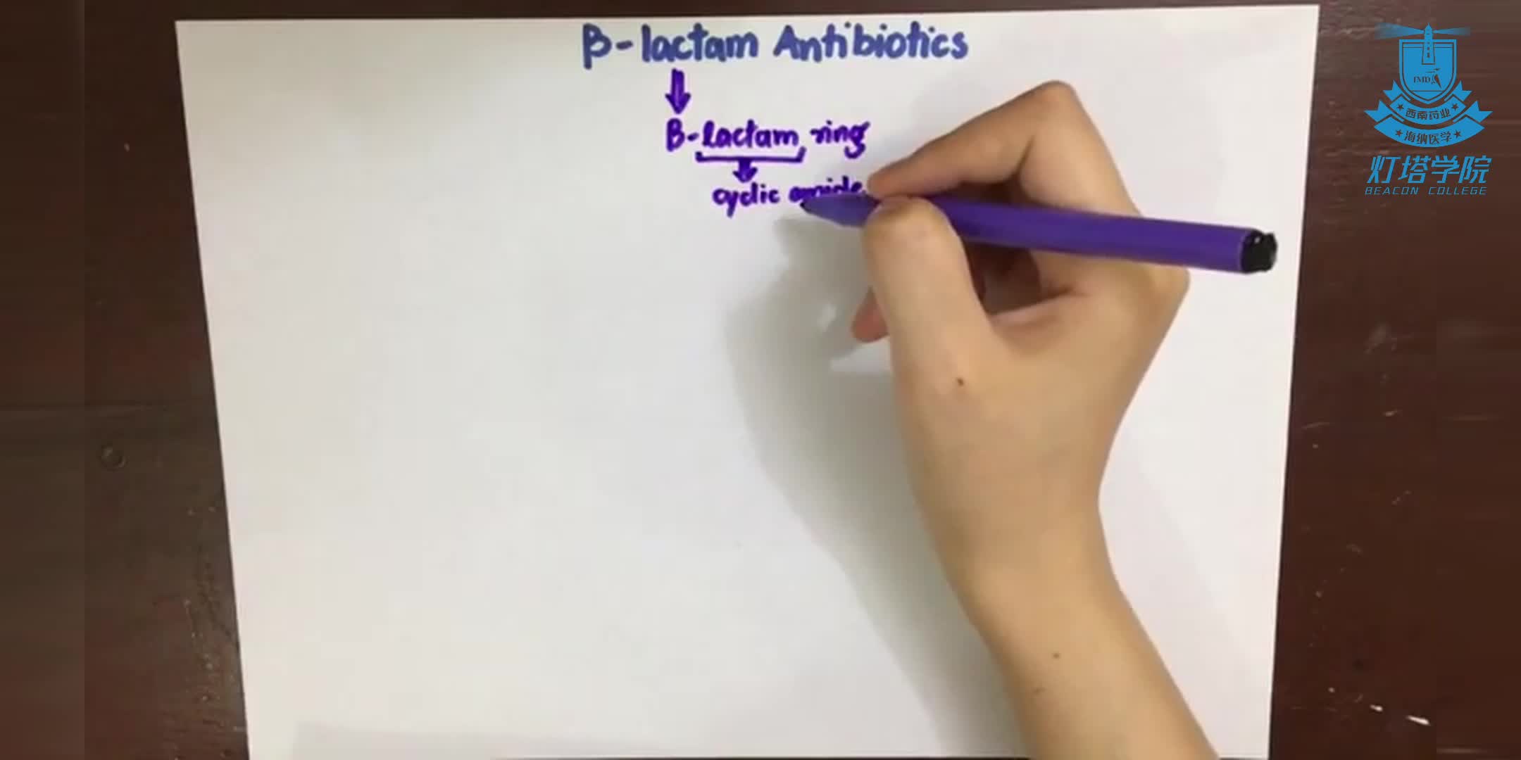 青霉素的概述及其应用