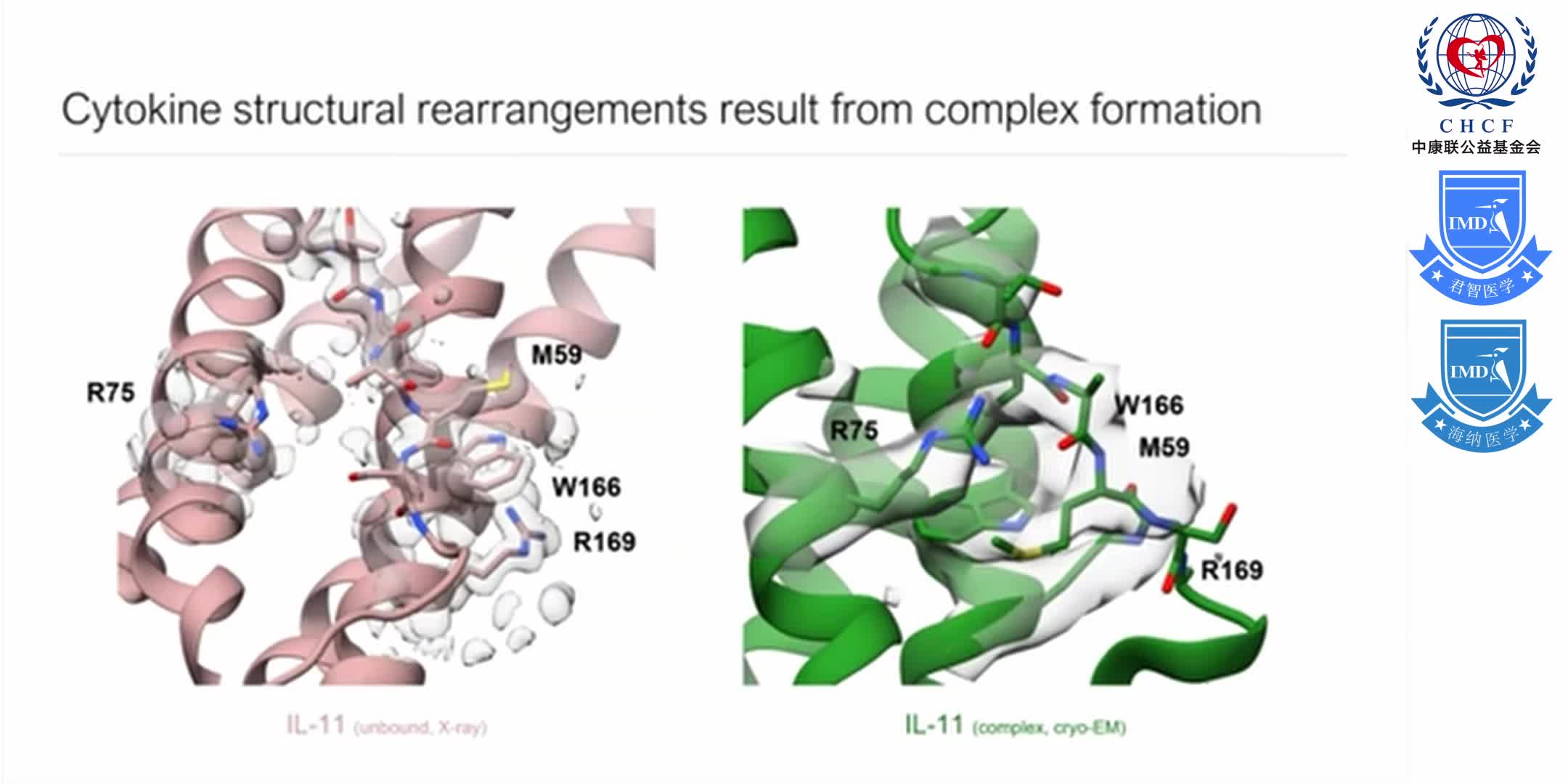 Structures of the interleukin 11 signalling complex 1-7