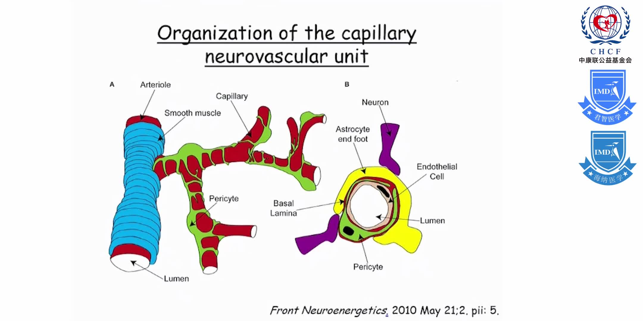 增生型糖尿病视网膜病变 1-9