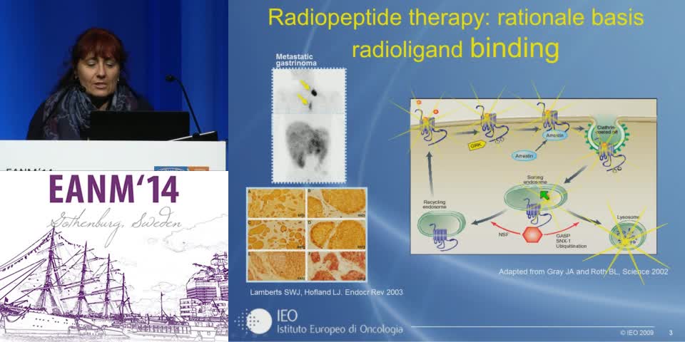 Therapy Using Y-90 Labelled Peptides